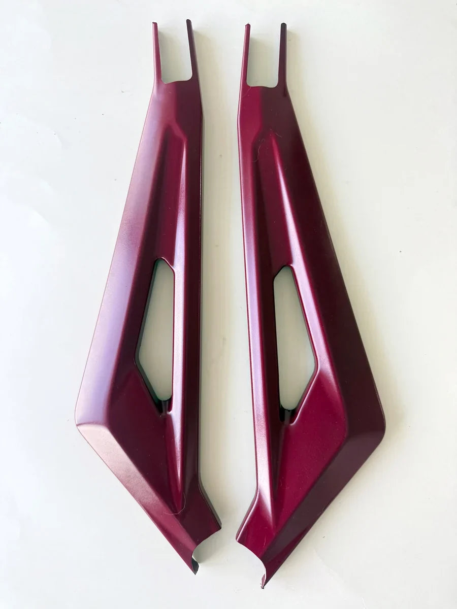 Surron LBX Professionally Painted Frame Guards